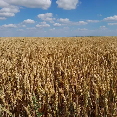 Apartman Agreable Maison A Portes *