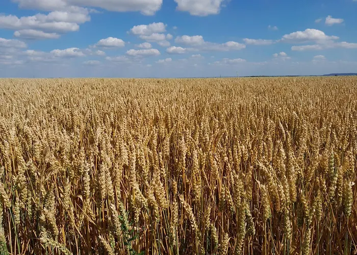 Apartman Agreable Maison A Portes *